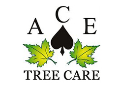 Ace Tree Care