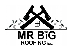Mr. Big Roofing